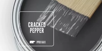 این کمپانی معروف رنگ سال 2024 را معرفی کرد