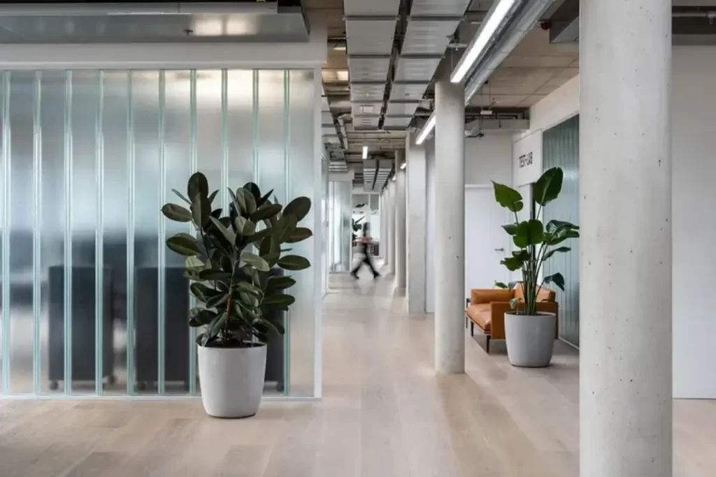 استفاده از گیاهان سبز در طراحی داخلی دفتر یک کمپانی آلمانی